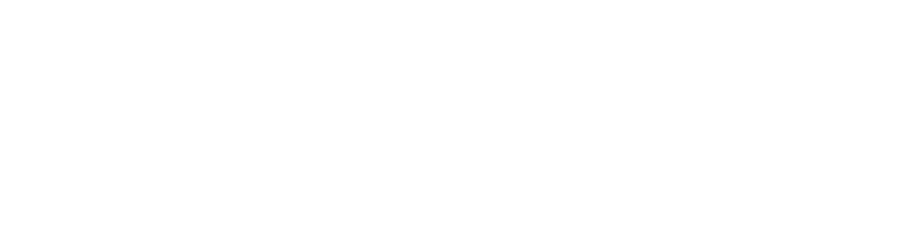 CVStory - Video CV Builder